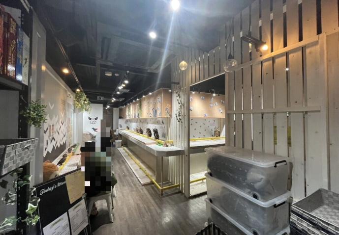 【さいたま市浦和区】与野駅徒歩1分／駅至近／フクロウカフェ／視認性◎／内装居酒屋向き／居抜き物件／約16.28坪